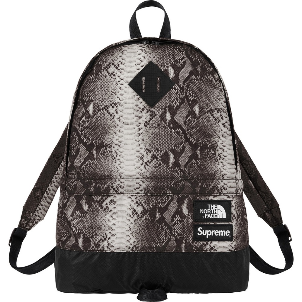 Supreme  North face
